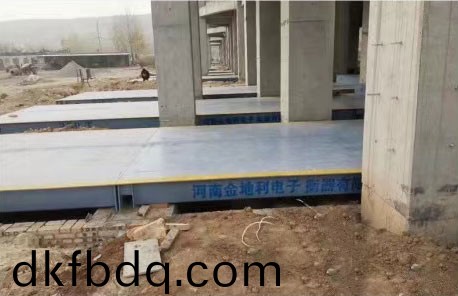 電子汽(qi)車(che)衡(heng)的(de)使(shi)用(yong)説明(ming)